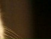 Іванка Золота фотография #25 (источник - https://vk.com/id139708248)