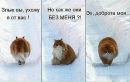 Роза Абдулаїва фотография #1
