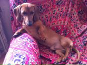 Фотография Кассина Егора