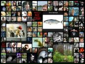 Фотография Струковой Екатерины