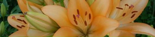 Іринка Мазай фотография #39 (источник - https://vk.com/id36509440)