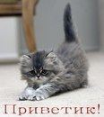Сергій Юхимчук фотография #30 (источник - https://vk.com/id161496578)