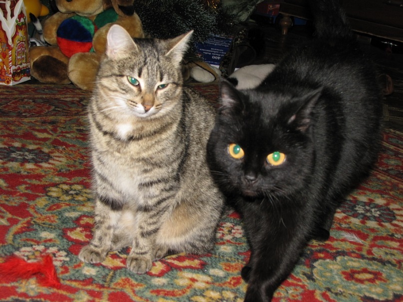 Ольга С фотография #19