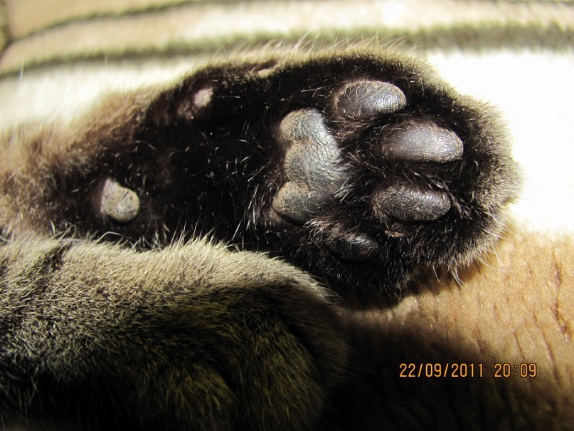 Ольга С фотография #23