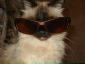 Фотография Ткаленко Максима