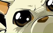 Фотография Корягина Андрея