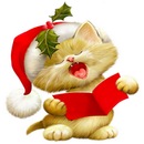 Фотография Турбина Станислава