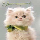 Світлана Пилипко фотография #39 (источник - https://vk.com/id161666292)