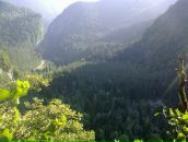 Igor Igor фотография #23 (источник - https://vk.com/id577602)