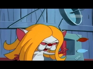 Пинки, Элмайра и Брейн (5 сезон 7 Серия)