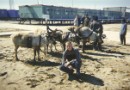 Юра Шаблій фотография #9 (источник - https://vk.com/id75023763)