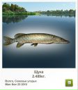 Вадім Юрчак фотография #12 (источник - https://vk.com/id53270129)