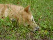 Фотография Гусева Виталия