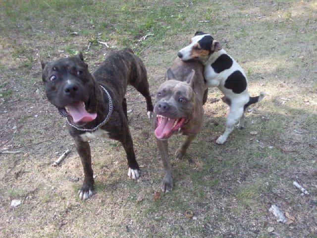 Andrei Kat фотография #50