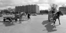 Владислав Маліновський фотография #11 (источник - https://vk.com/id7783712)