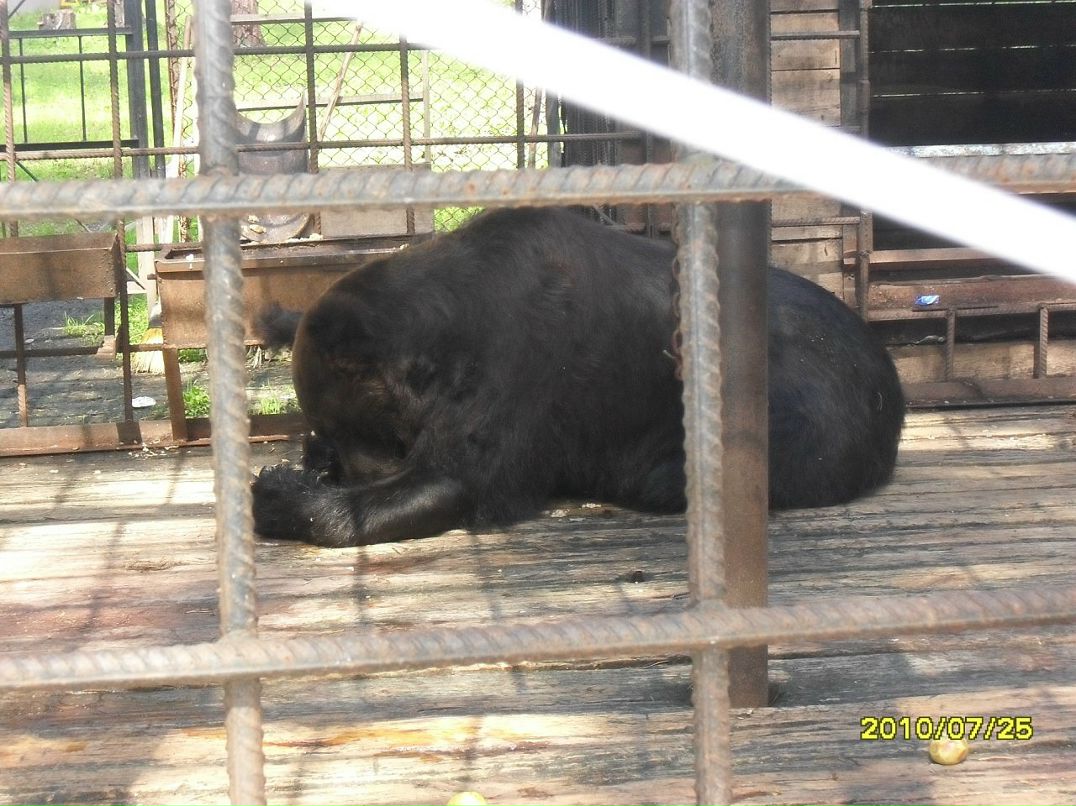 Александр Бугаков фотография #41