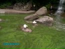 Катя Гостєва фотография #44 (источник - https://vk.com/id55936856)