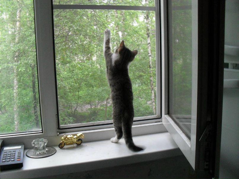 Дмитрий Халеев фотография #11