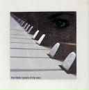 Фотография Дисяк Светланы