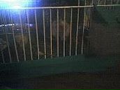 Вікуся Долгій фотография #32 (источник - https://vk.com/id95943364)