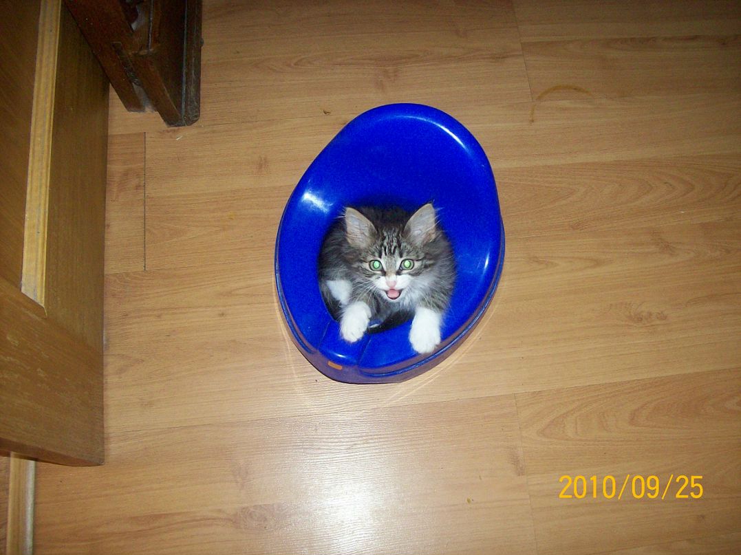 Андрей Поляков фотография #23