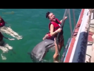 Приколы декабрь 2016 №256