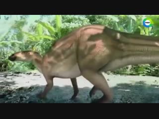 Динозавр - друг человека