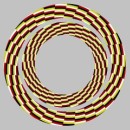 Ліля Божена фотография #47 (источник - https://vk.com/id83328861)