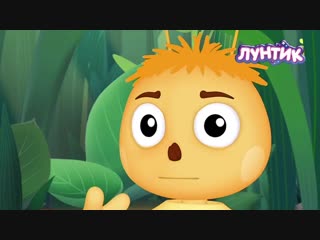 Лес — не место для игр!