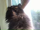 Фотография Миндаровой Наталии