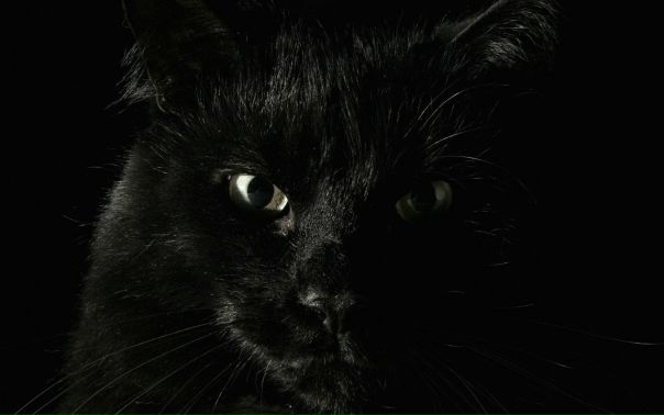 Jack Thehell фото №3