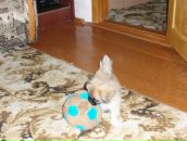 Олексій Степчук фотография #16 (источник - https://vk.com/id40079081)