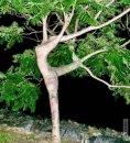 Фотография Иванов Василий
