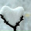 Заріна Козачук-Комарницька фотография #25 (источник - https://vk.com/id73601208)