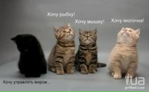 Фотография Соколова Андрея