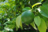 Den Cherkasov фотография #44 (источник - https://vk.com/id703697)