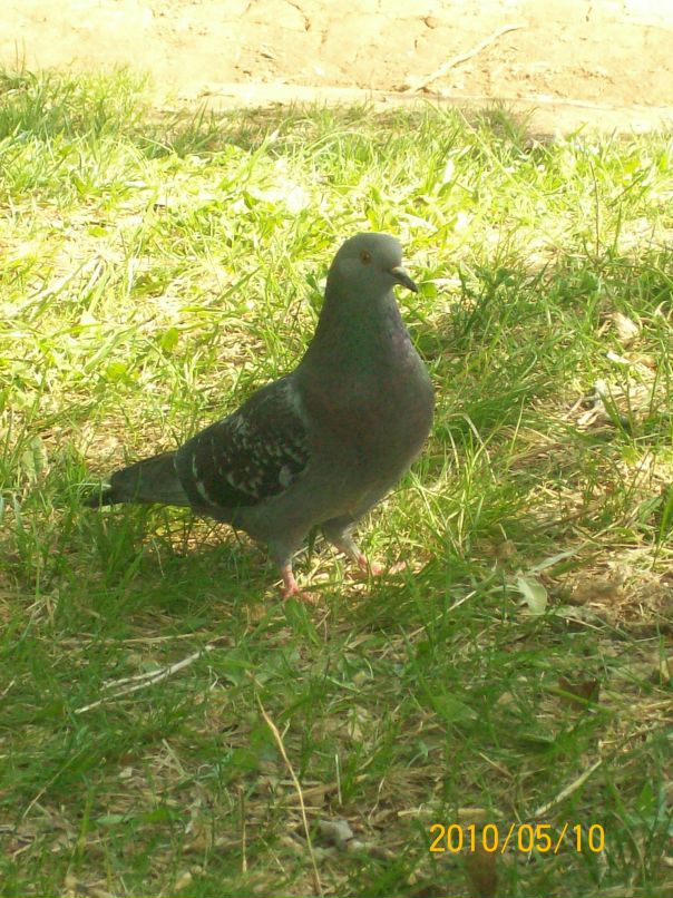 Наталия Рубцова фотография #45