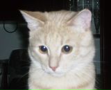 Фотография Гумерова Марата