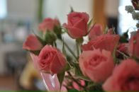 Фотография Абрамовой Марины