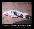 Фотография Соколова Николая