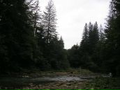 Маряна Сеньків фотография #21 (источник - https://vk.com/id72910504)