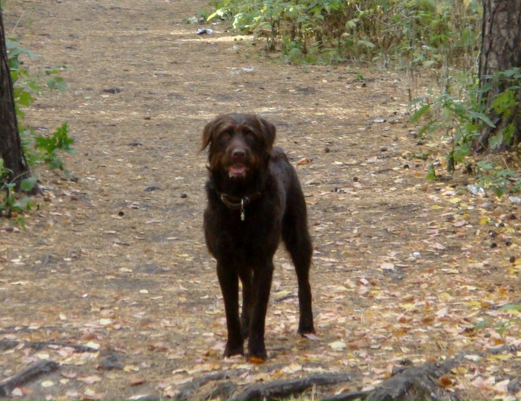 Александр Яковлев фотография #8