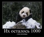 Фотография Жукова Константина