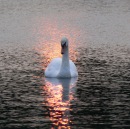 Фотография Астаховой Натальи