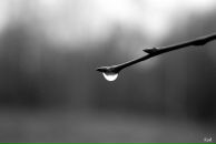 Фотография Колобова Артема