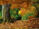 Фотография Гусельщикова Александра