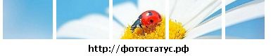 Фотография Марина Красикова