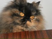 Андрій Бучковський фотография #1