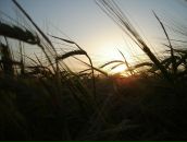 Вітя Расюн фотография #49 (источник - https://vk.com/id19268279)