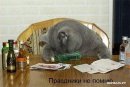 Андрій Добрусь фотография #29 (источник - https://vk.com/id75546355)